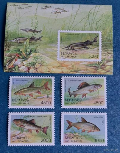 Беларусь 1997 Рыбы