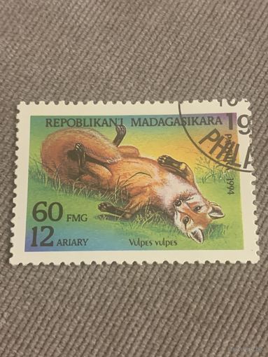 Мадагаскар 1994. Лисица