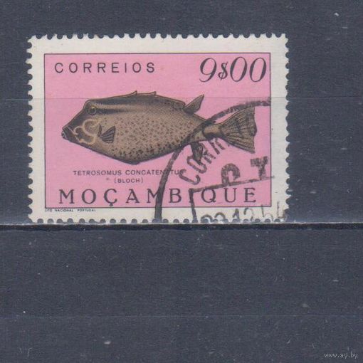[804] Португальский Мозамбик 1951. Фауна.Рыба.9 э. Гашеная марка.