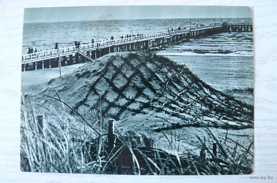 Прибалтика, Литовская ССР, Паланга; 1965, чистая.