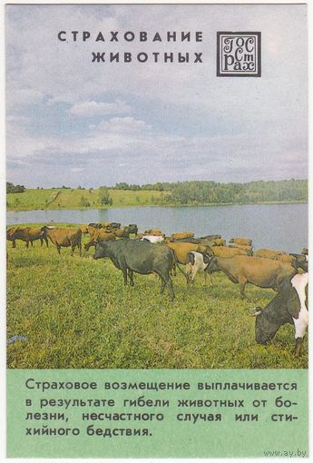 Календарик 1985 (113)