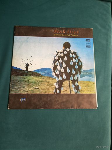 Пластинка Pink Floyd - Delicate Sound Of Thunder