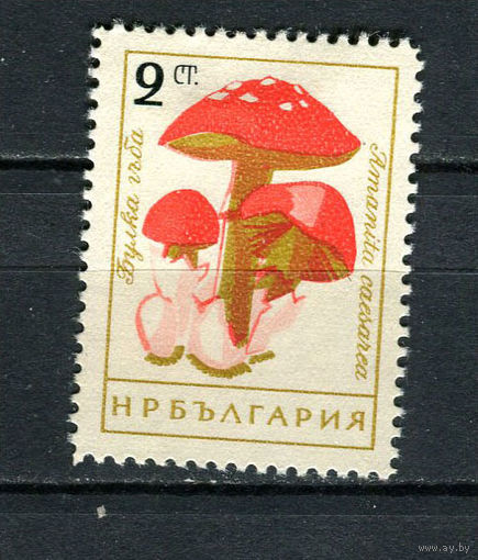 Болгария - 1961 - Гриб 2St - [Mi.1263] - 1 марка. Чистая без клея.  (Лот 23Fo)-T25P22
