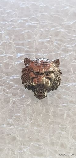 Фрачник СЧ ВВ МВД, ВЧ 3278*