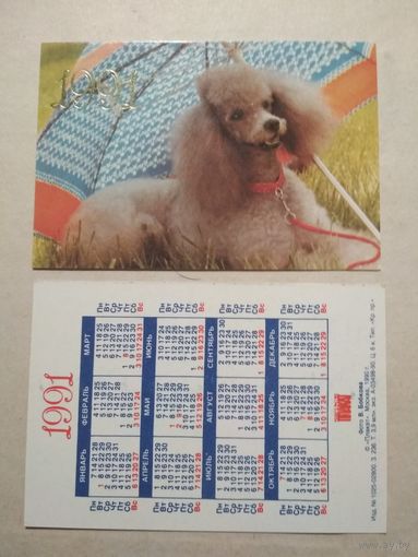 Карманный календарик. Собака. 1991 год