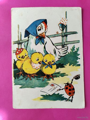 Детская. Таллинн. Чистая. 1957 года. Вальял. 2504.