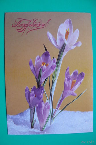 Якименко Р., Поздравляем! 1986, чистая.