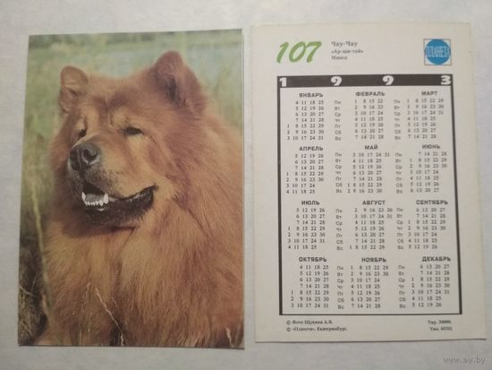 Карманный календарик. Собака.1993 год