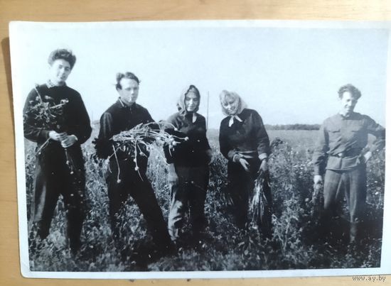 Фото в коллекцию