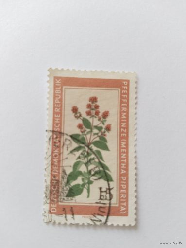 ГДР  1960 цветы