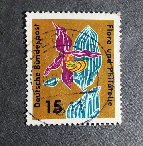 Марка Германия 1963 год Цветы