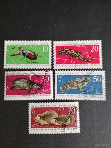 ГДР 1963 Полная серия марок "Охраняемые животные" (гашение 2 марки с клеем, 3 без клея есть наклейки) Mi.978-982 каталог 8.50 евро