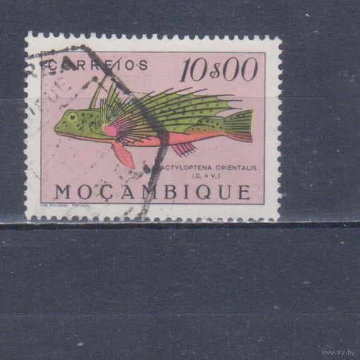 [511] Португальский Мозамбик 1951. Фауна.Рыба.10 э. Гашеная марка.