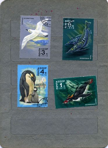 СССР, 1978, ЖИВОТНЫЙ МИР АНТАРКТИКИ, , 4м