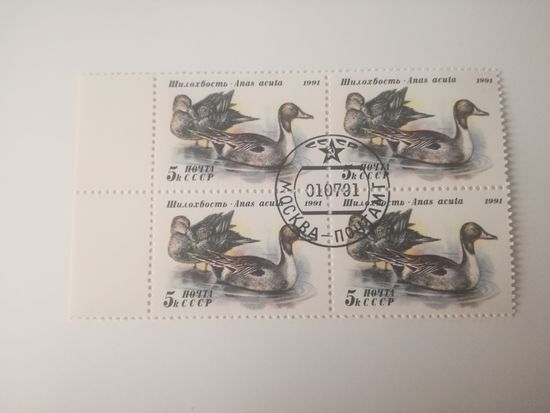 1991 СССР. Утки. Квартблок