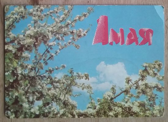 Бушын М. 1 мая (Бушин М. 1 мая). 1979 г. Чыстая.