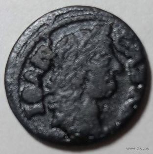 Боратинка 1664(1)