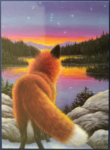 Восходящий Орион. Bridget Voth. Беларусь. 2022 г.