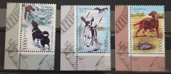 2010 Собаки Беларусь