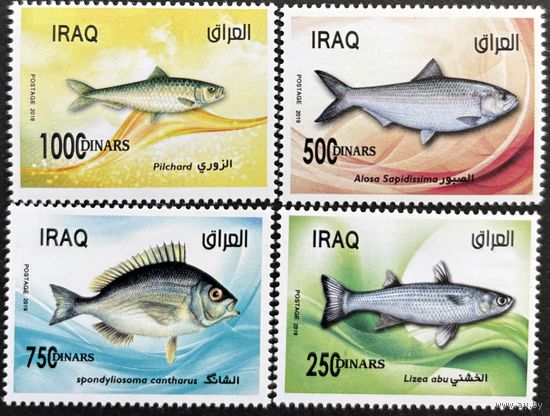 Ирак 2019 Фауна. Рыбы. полная серия.
