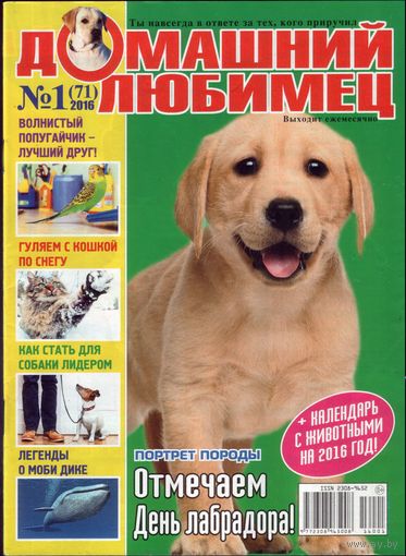 Домашний любимец #71