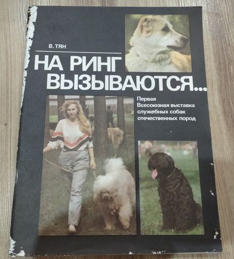 На ринг вызываются (1990 год)