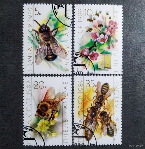 Марка СССР 1989 год Пчелы