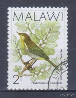 [1219] Малави 1988. Фауна.Птицы. Гашеная марка. 1