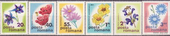РУМЫНИЯ **, 1975 год  Флора Цветы (НОЯ