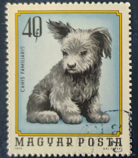 Венгрия 1974 животные 1 из 7