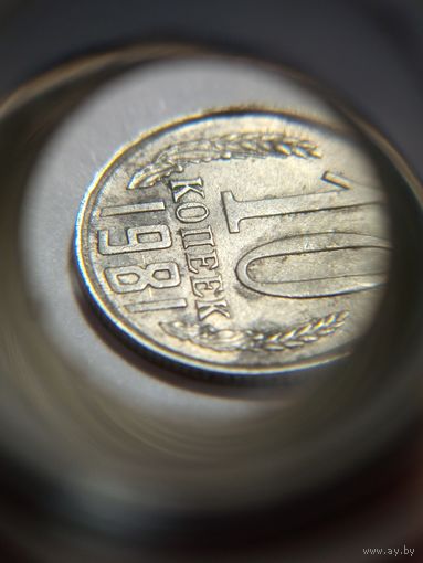 10 копеек СССР 1981 Брак раскол через цифру 8.