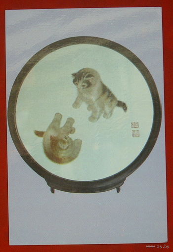 Котята. Подписанная. 849.