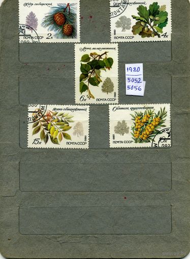 СССР, 1980,Охраняемыепород деревьяеви кустарников , серия 5м