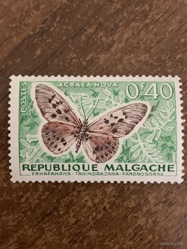 Мадагаскар 1960. Бабочки. Acraea hova. Марка из серии