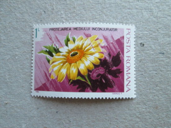 Цветы .
