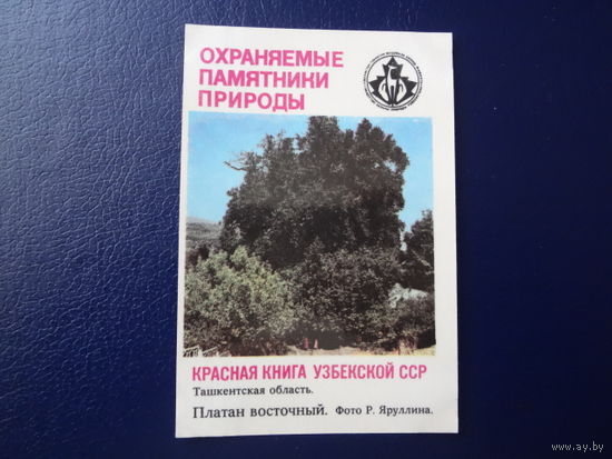 Календарик 1987 г.  Красная книга Узб.ССР.  Платан восточный.  Ташкентская обл.