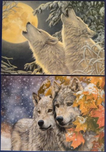 Ранний снегопад. Лунный свет. Lucie Bilodeau.Беларусь. 2018,20 гг.