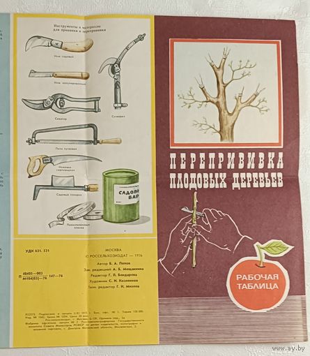 Перепрививка плодовых деревьев (рабочая таблица) Автор Попов Б.А. 1976