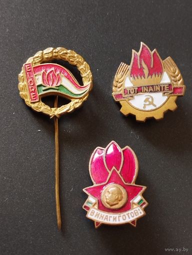 Знак. Пионер Румыния(СРР)  , Венгрия (ВНР), Болгария ( НРБ)