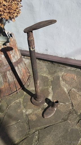 Лапа старая сапожника.