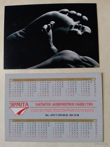 Карманный календарик.2003 год