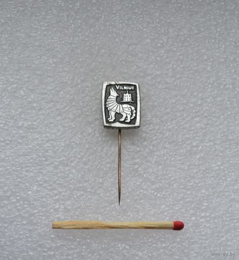 Вильнюс.