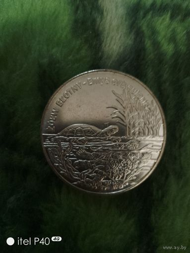 20 злотых, черепахи