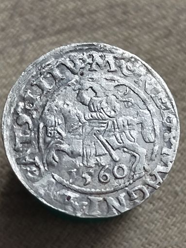 Распродажа - полугрош 1560г.,ВКЛ,Сигизмунд II Август