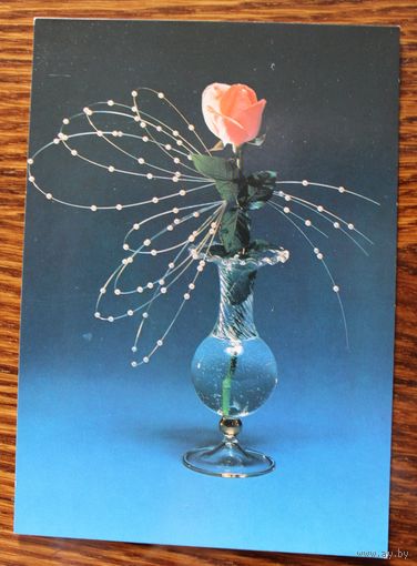 Фотокомпозиция. Худ. Г. Новикова, Фото Е. Герасимова. Чистая. 1990 г.