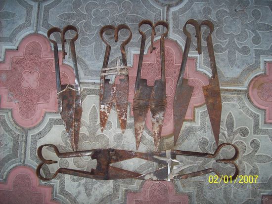 Ножницы для стрижки овец и баранов.цена за штуку