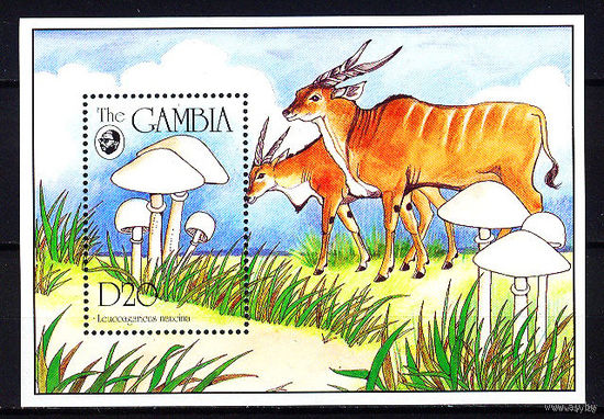 1994 Гамбия. Грибы  MNH