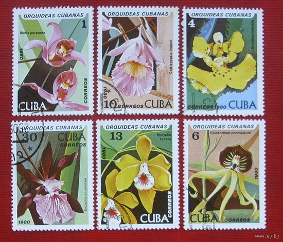 Куба. Орхидеи. Цветы. ( 6 марок ) 1980 года. 5-4.