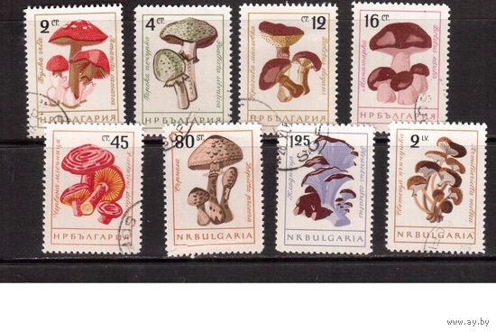 Болгария-1961(Мих.1263-1268)  гаш. , Флора, Грибы