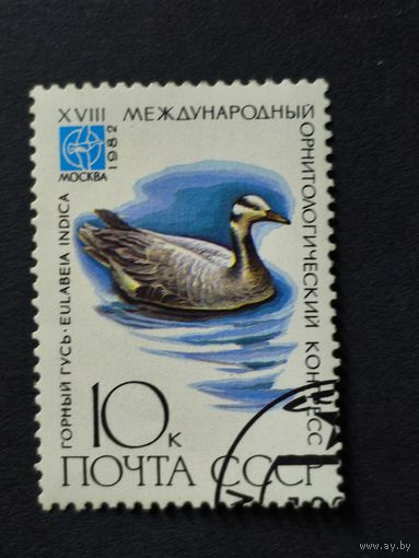 1982 СССР. 18й международный орнитологический конгресс. Птицы. Горный гусь